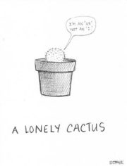 A lonely cactus