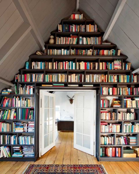 Cool Attic Library