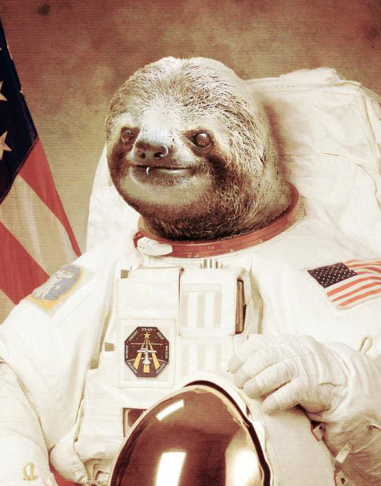 Sloth astronaut
