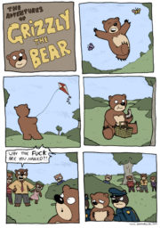 The Adventures of Grizzly the Bear