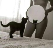 Cute pussy in the mirror