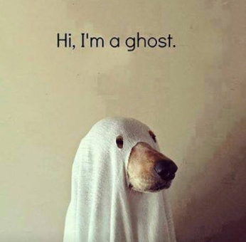 Hi, I’m a ghost