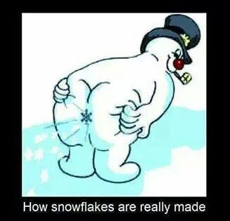 How snowflakes are really made