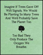 If trees gave off wifi signals