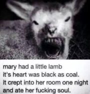 Mary had a little lamb…