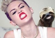 Miley Cyrus smile VS. sloth smile