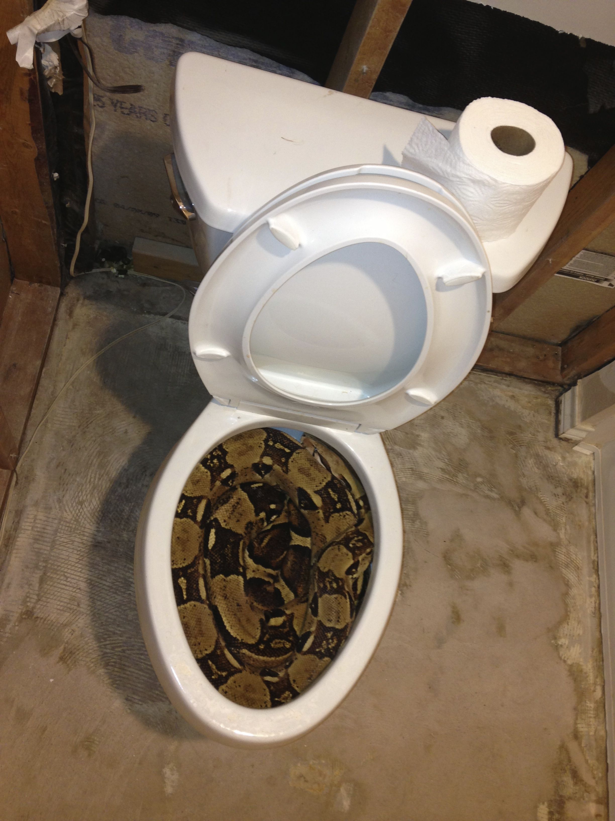 Toilet python