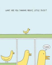 What are you thinking, little duck?