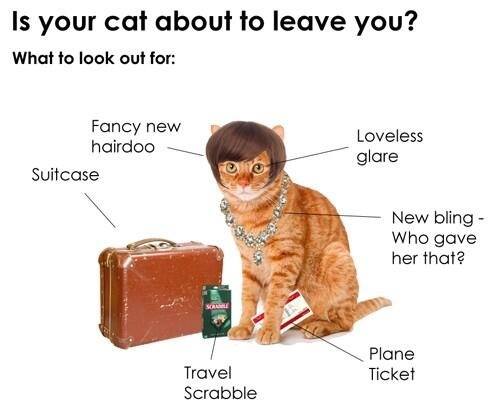 Is your cat about to leave you?
