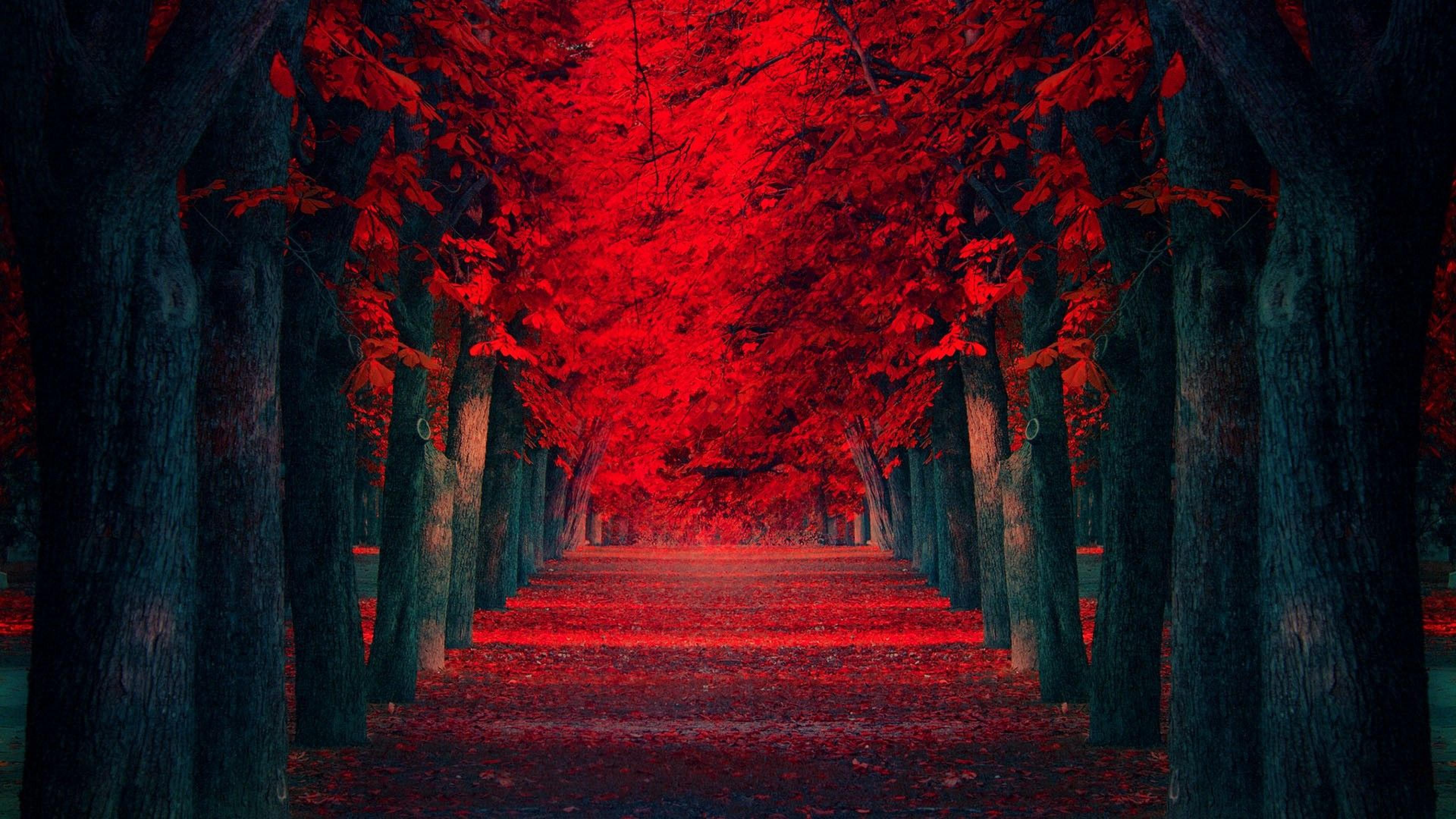 Red path