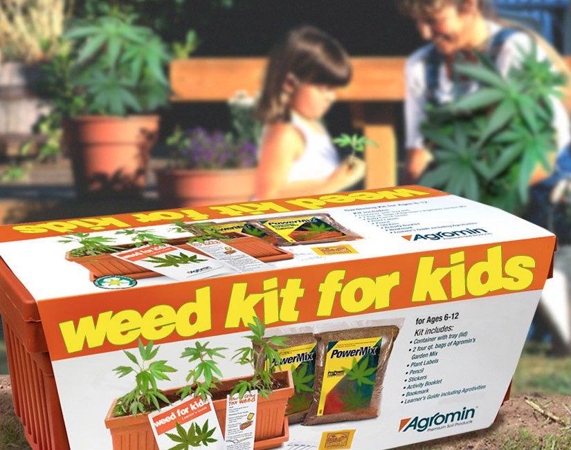 Weed kit for kids