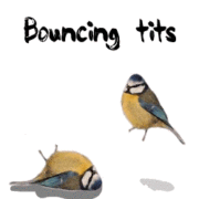 Bouncing tits