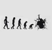 Drummer evolution