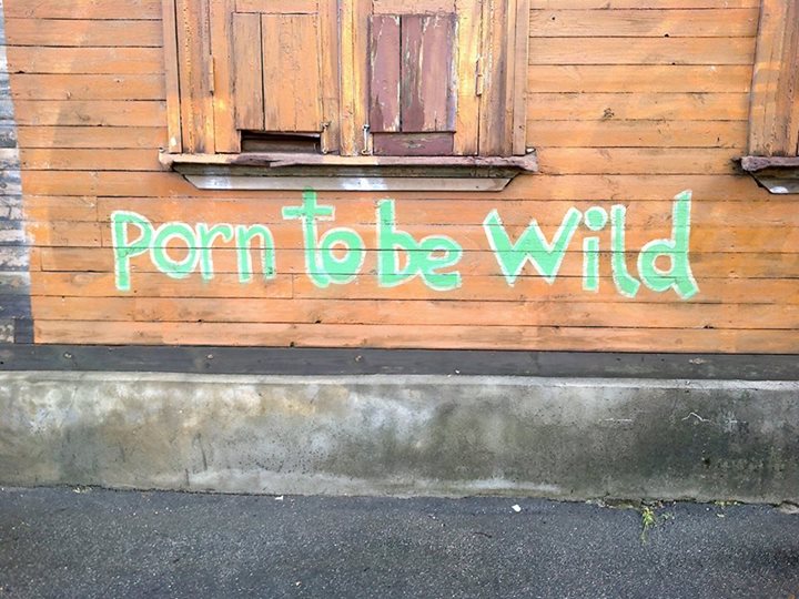 Porn to be wild