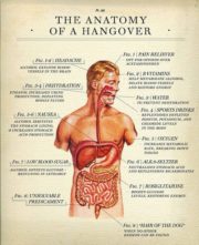 The anatomy of a hangover