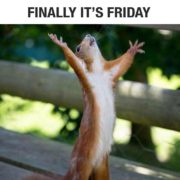 Finally it’s Friday!!!