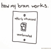 How my brain works