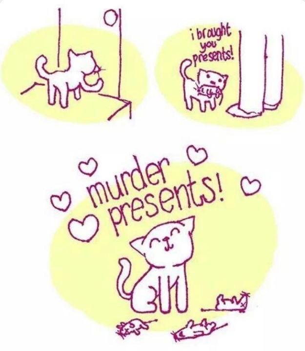 Murder presents!