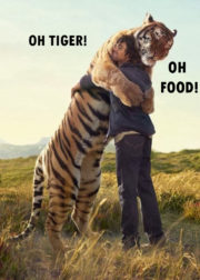 Oh Tiger! Oh Food!