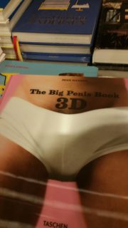 The big penis book 3D