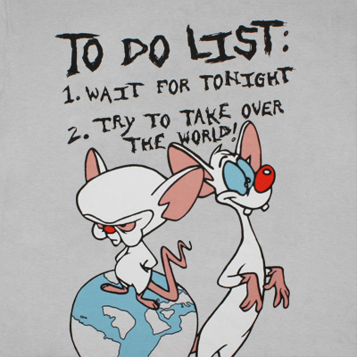 To do list of the Pinky and the Brain
