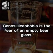Cenosillicaphobia is a fear of an empty bear