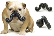 Dog mustache toy