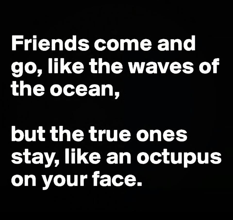 Like an octopus on your face.