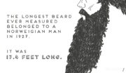 The longest beard ever