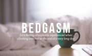 Bedgasm