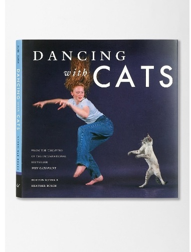 Dancing with cats