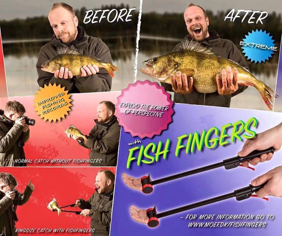 Fish fingers