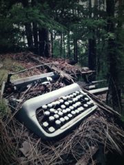 Found an old laptop in the woods