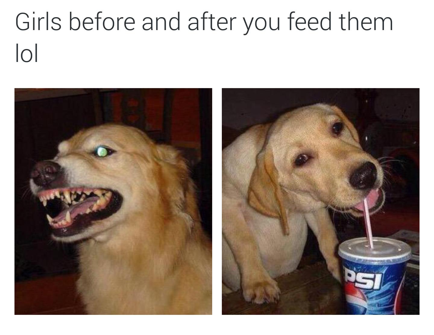 Girls before and after you feed them