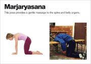 Marjaryasana yoga pose