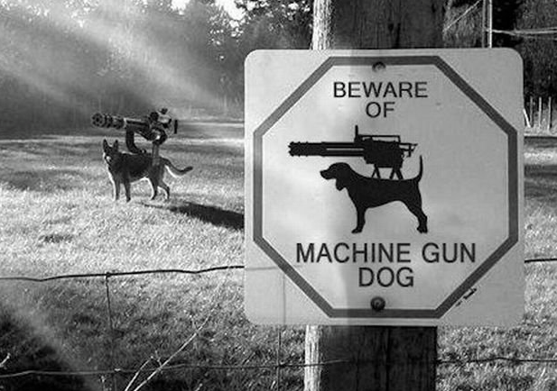 Mashine gun dog