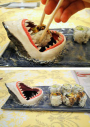 Shark infested sushi plate