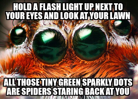 Staring spiders