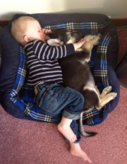 Taking a snooze with the puppy in the dog bed