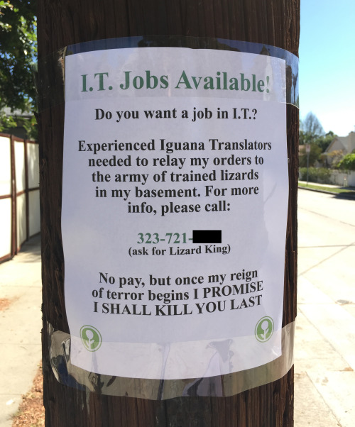 I.T. Jobs Available!