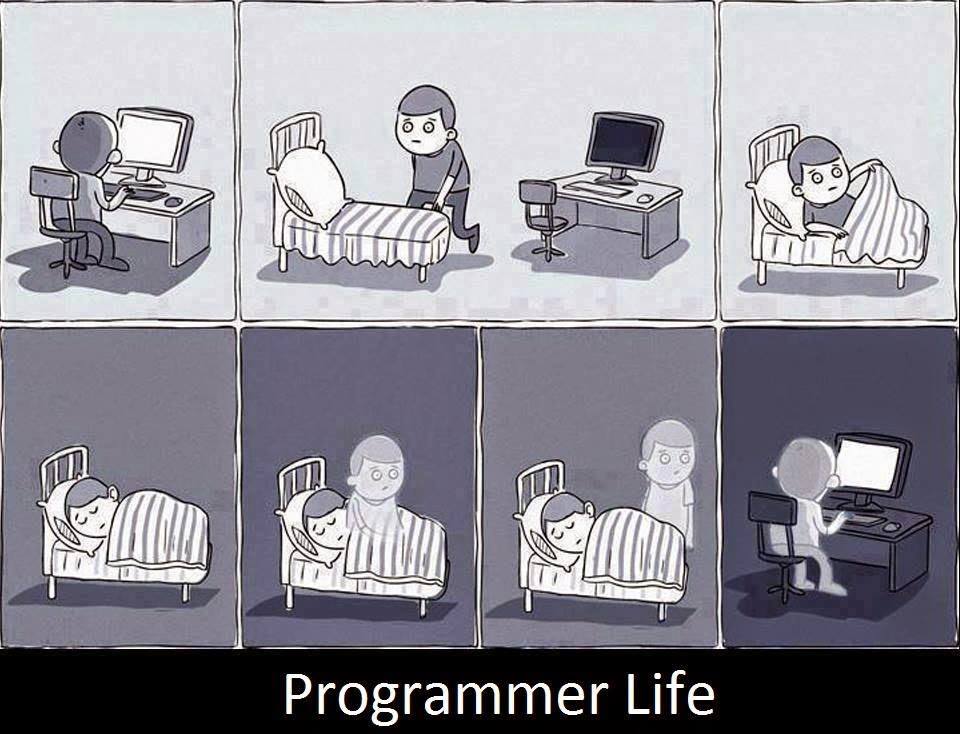 Programmer’s life