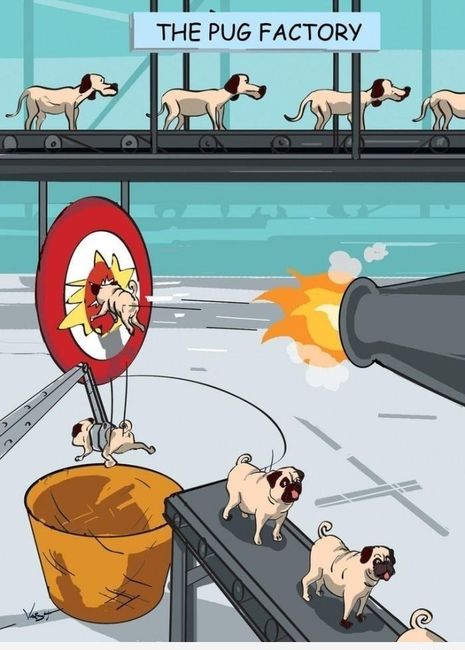 The pug factory