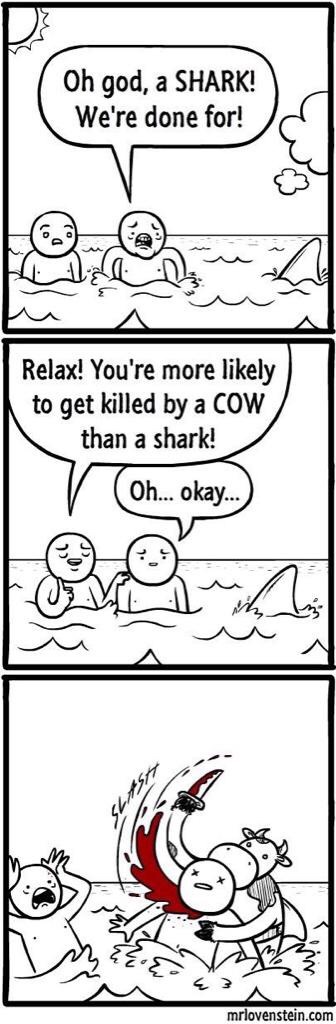 Sharks are not dangerous | t3hwin.com