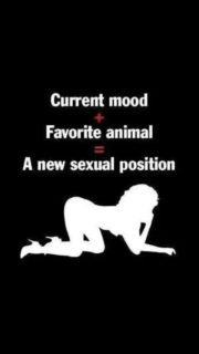 A new sexual position
