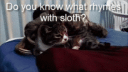 Do you know what rhymes with sloth? RAPE!