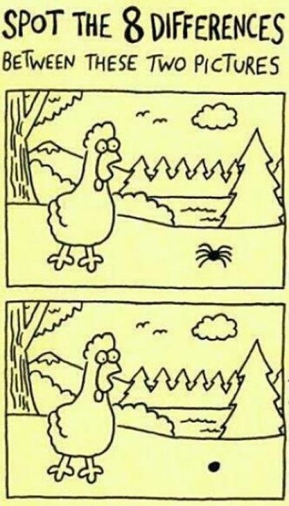 Spot the 8 differences between these two pictures