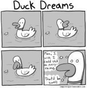 Duck Dreams
