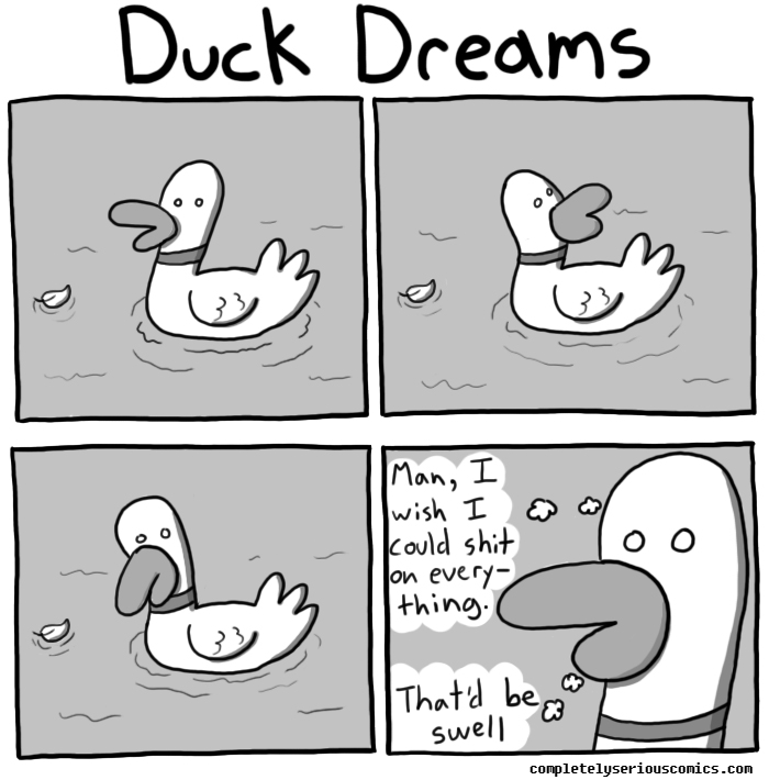 Duck Dreams