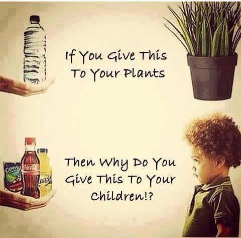 If you give water to your plants…