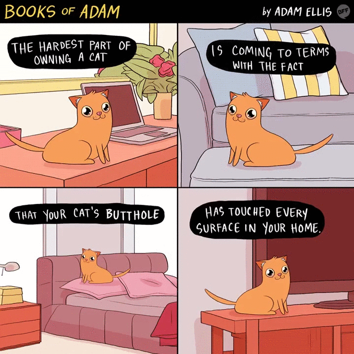 Books of Adam: The hardest part of owning a cat…
